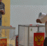 DSC 0069 560x444 Три мандата получили коммунисты на выборах депутатов в горсовет Бердска - Курьер.Среда.Бердск