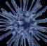 virus infected cells 213708 960 720 560x425 За что дали Нобелевскую премию японцу и почему это важно? - Курьер.Среда.Бердск