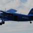 В Бердске начнут производить 50-60 самолетов Ан-2 в год - Бердск-Онлайн.Ru