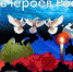 9 декабря в России отмечается памятная дата, которая в официальном календаре носит название День Героев Отечества - Администрация г. Бердск