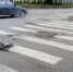разметка которую в текст 560x393 Разметку нанесли по трупу сбитой кошки в Горно Алтайске - Курьер.Среда.Бердск