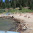На пляже «На камнях» на побережье Обского моря в Бердске купаться разрешено - Курьер.Среда.Бердск
