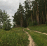 IMG 9686 560x420 7000 детей отдыхают в лагерях Новосибирской области - Курьер.Среда.Бердск