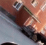 Бык крушил машину в Бердске. Фото - кадр из видео. - Бердск-Онлайн.Ru