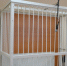 DSC 10071 560x3731 560x373 700 тыс. рублей заплатили нелегалы за «крышу» сотрудникам наркоконтроля в Новосибирске - Курьер.Среда.Бердск