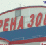 В день открытия  искитимского ЛДС  звезды сошлись на «Арене-300» - ТВК-плюс