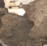 QIP Shot - Screen 230.png - ТВК-плюс