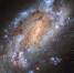 Галактика NGC 1559 в созвездии Сетки, один из самых одиноких объектов космоса - Курьер.Среда.Бердск