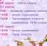 Турнир по художественной гимнастике пройдет в Бердске - Курьер.Среда.Бердск