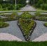 Вандалы оборвали петуньи с клумб городского парка Бердска - Курьер.Среда.Бердск