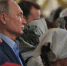 Путин порезал палец - Курьер.Среда.Бердск