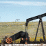 Нефтяники поссорились с Росгвардией из за ЧОПов - Курьер.Среда.Бердск