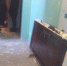 Чудо в туалете: Взрыв шоколадного освежителя вынес входную дверь, оставив на месте туалетную в Бердске - Курьер.Среда.Бердск