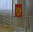 Домохозяйка от ЛДПР победила на выборах мэра Усть Илимска - Курьер.Среда.Бердск