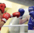 Победителя определят на боксерском ринге в Бердске - Администрация г. Бердск