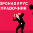 Вся полезная информация - в одном месте! - Бердск-Онлайн.Ru