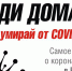 COVID 19: 275 жителей на домашней изоляции в Бердске. Из них 51 ребенок - Курьер.Среда.Бердск