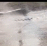 В Бердске грунтовые воды так и подмывает вылиться на поверхность - ТВК-плюс