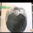 Вспоминаем героев-земляков: Иван Иванович Маркин (Искитимский район) - ТВК-плюс