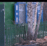 23-летний парень в Искитиме покончил жизнь самоубийством - ТВК-плюс