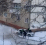 Видео не фейк. Но к Бердску не относится - Бердск-Онлайн.Ru