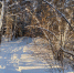 WhatsApp Image 2021-02-01 at 13.38.46 (1) (1) - Курьер.Среда.Бердск