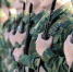 Военная служба по контракту - Администрация г. Бердск
