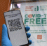 Что такое QR-код переболевшего COVID-19 и как его получить - Бердск-Онлайн.Ru