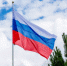 Ко дню Государственного флага Российской Федерации - Администрация г. Бердск