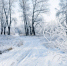Февраль будет теплым - Бердск-Онлайн.Ru