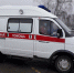 Ядовитая змея в Бердске укусила 7-летнего мальчика - Svidetel24.Info