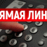 12.04.2023 «прямая телефонная линия». О мерах по трудоустройству, профессиональному обучению и социальной поддержке безработных граждан - Администрация г. Бердск