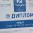 Голосование на определение темы для обсуждения на открытой площадке "Лекторий - цифровизация" - Администрация г. Бердск