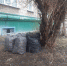 Глава Бердска дал две недели для приведения города в порядок после зимы - Svidetel24.Info