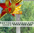 Приглашаем бердчан принять участие в областной патриотической акции #ОКНА_ПОБЕДЫ - Администрация г. Бердск