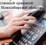 Прямая телефонная линия 17 декабря - Администрация г. Бердск