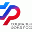 График работы Отделения СФР по Новосибирской области в предновогодние и новогодние дни - Администрация г. Бердск