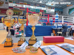Финальные поединки Первенства СФО по боксу прошли в Бердске
