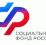Отделение СФР по Новосибирской области в 2024 году оформило единовременное пособие на 620 детей, которые были приняты на воспитание в семьи - Администрация г. Бердск