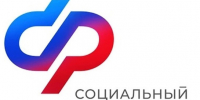 На портале госуслуг теперь можно получить единую справку обо всех выплатах Отделения СФР - Администрация г. Бердск