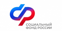 Свыше 400 тысяч услуг в электронном виде оказало Отделение СФР по Новосибирской области жителям региона с начала года - Администрация г. Бердск