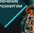 Отключение электроэнергии 6 октября - Администрация г. Бердск