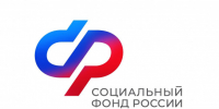 С начала года Отделение СФР по Новосибирской области выплатило более 15 тысячам семей региона единовременное пособие при рождении ребенка - Администрация г. Бердск