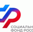 Как индивидуальным предпринимателям получить декретные и больничные? - Администрация г. Бердск