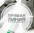 25 ноября пройдет прямая линия в общественной приемной Губернатора - Администрация г. Бердск