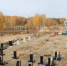 Не удалось перевести в Москву дело о крупной афере на строительстве газовой котельной в Бердске - Бердск-Онлайн.Ru