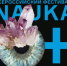 Всероссийский фестиваль науки НАУКА 0+ - Администрация г. Бердск