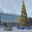 Главную городскую елку зажгут 20 декабря на площади Горького в Бердске - Svidetel24.Info
