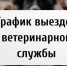 График выездов ветеринарной службы  - Администрация г. Бердск