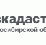 В новосибирском Роскадастре расскажут, как получить копии документов на недвижимость - Администрация г. Бердск